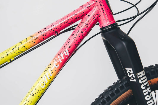 Kitty's Steel Hardtail Mountain Bike: All-City Electric Queen