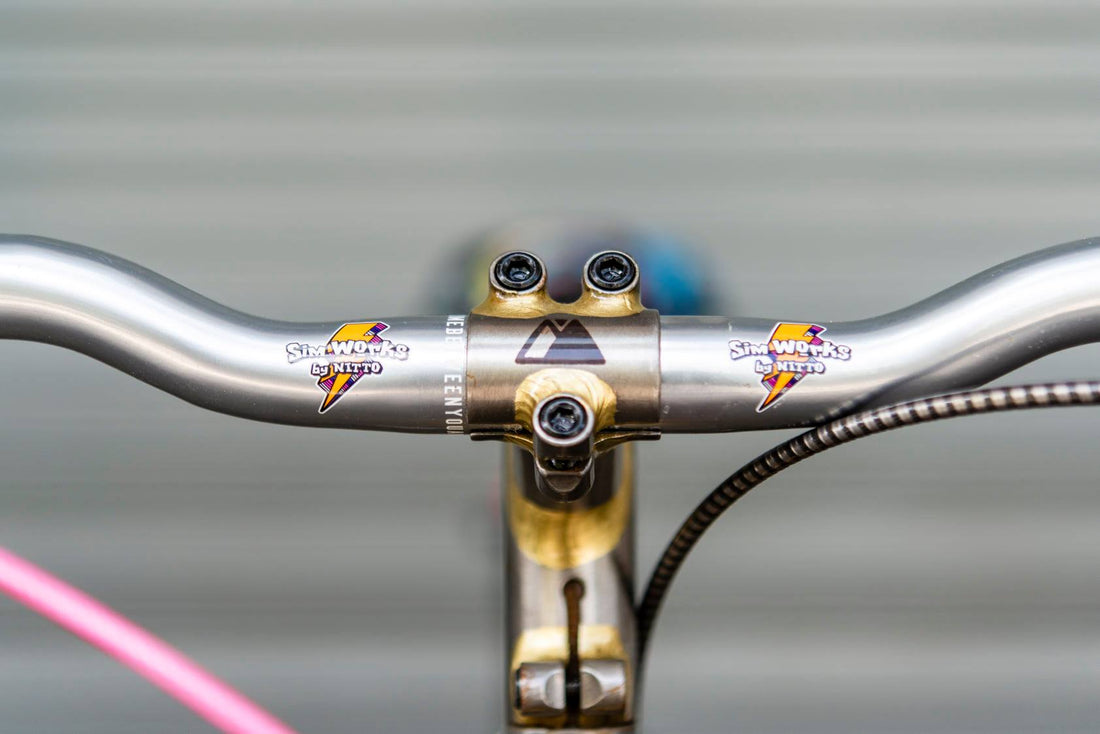 Eugene's Single Speed Mone El Continente