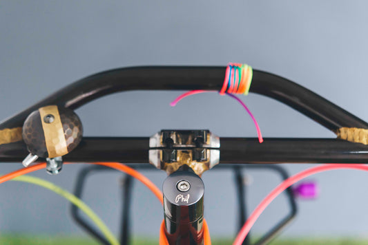 Hafiz's Gravel Bike: Mone El Continente